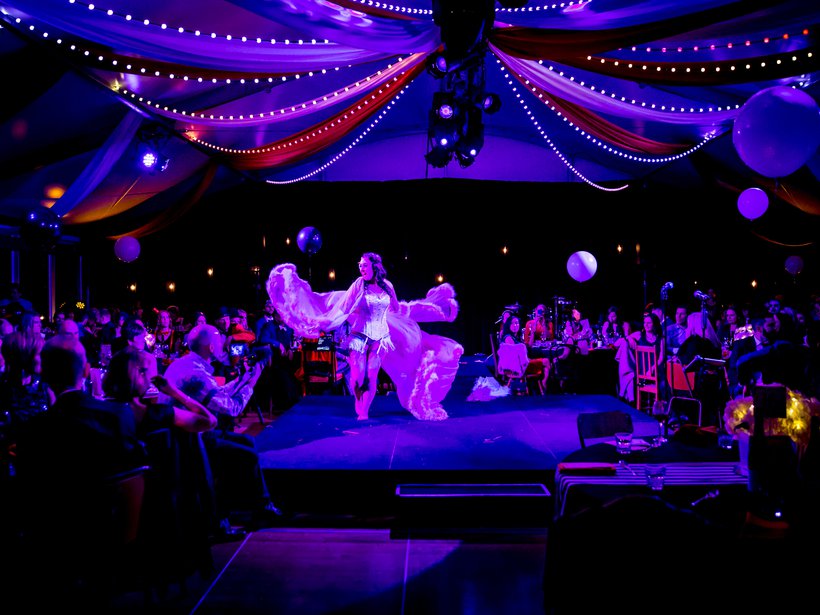 Winter Festival Viva La Cirque Ball