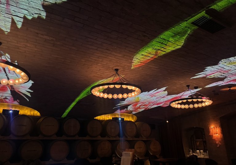 TomTom Productions AV Queenstown Ayrburn Barrel Room Projection mapping gala - 1