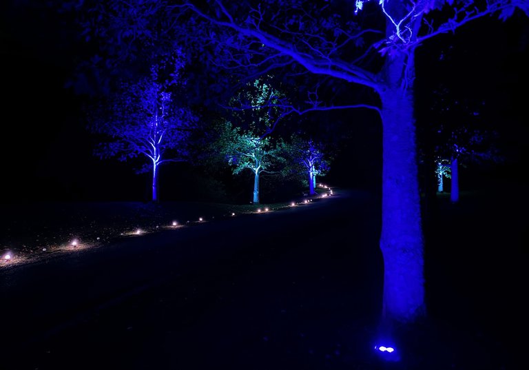 Queenstown Events Productions AV TomTom Winehouse